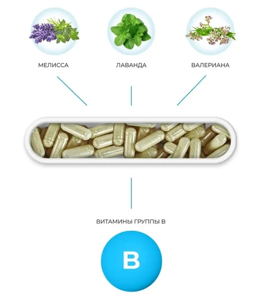 "P" (Pax) — strengthening the nervous system