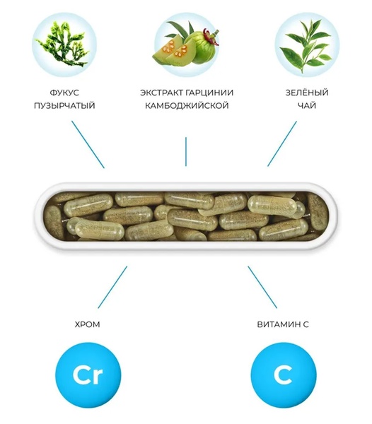 "SV" (Sveltform) — normalises metabolism