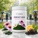 DiReset New &mdash; immune support DiReset New photo 8