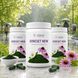 DiReset New &mdash; immune support DiReset New photo 13