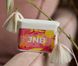 "JNB" (Junior Be Big) — vitamins for children's growth