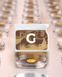 &ldquo;G&rdquo; &mdash; ginseng older than 6 years Prv-G photo 3