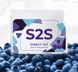 "S2S" (Сейф-ту-сі) — вітаміни для зору Prv-S2S фото 2