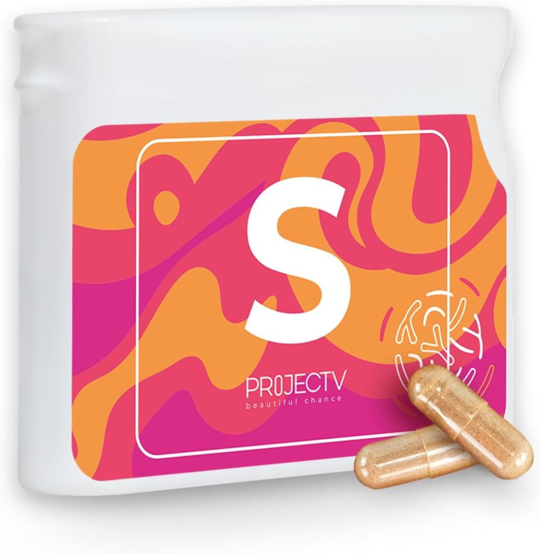 17.1 Project v s (Synbiotic) PROJECT V PL