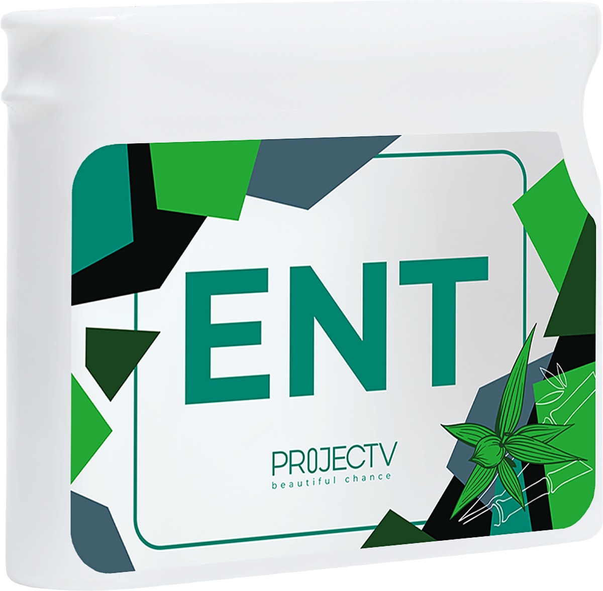 Project v ENT Енджой NT визион